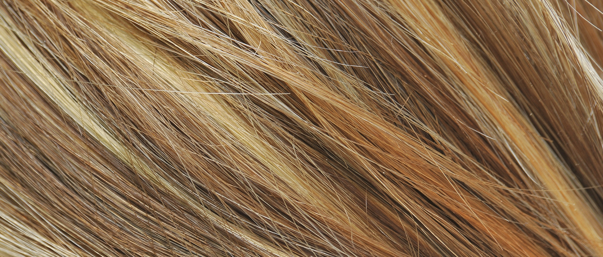 Pre Christmas Blow Dry Offer from Chic Balayage